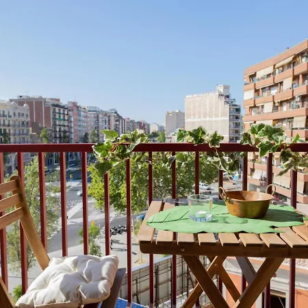 Clot Market Apartament